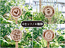 LFC菜園サイン / Aセット