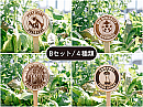 LFC菜園サイン / Bセット